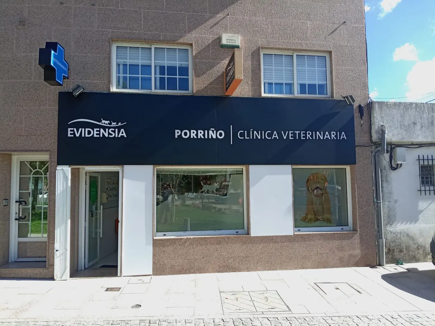Vista frontal de la clínica veterinaria Evidensia Porriño con el panel de letras corpóreas, la cruz luminosa azul y los vinilos del escaparate